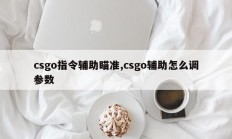 csgo指令辅助瞄准,csgo辅助怎么调参数