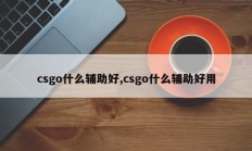 csgo什么辅助好,csgo什么辅助好用
