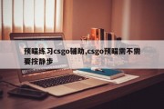 预瞄练习csgo辅助,csgo预瞄需不需要按静步