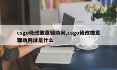 csgo修改徽章辅助网,csgo修改徽章辅助网址是什么