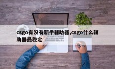 csgo有没有新手辅助器,csgo什么辅助器最稳定
