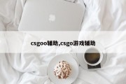 csgoo辅助,csgo游戏辅助