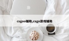 csgoo辅助,csgo游戏辅助
