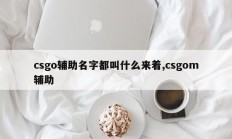 csgo辅助名字都叫什么来着,csgom辅助