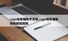 csgo哈希辅助中文版,csgo哈希辅助使用教程视频