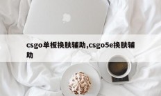 csgo单板换肤辅助,csgo5e换肤辅助