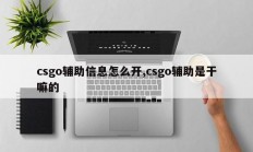 csgo辅助信息怎么开,csgo辅助是干嘛的