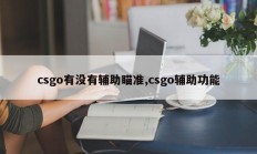 csgo有没有辅助瞄准,csgo辅助功能