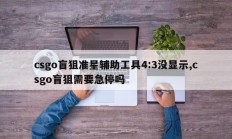csgo盲狙准星辅助工具4:3没显示,csgo盲狙需要急停吗