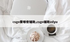 csgo要哪些辅助,csgo辅助zdyu
