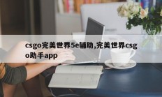 csgo完美世界5e辅助,完美世界csgo助手app