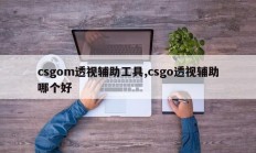 csgom透视辅助工具,csgo透视辅助哪个好
