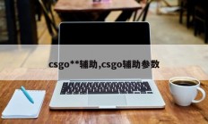 csgo**辅助,csgo辅助参数
