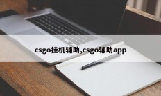 csgo挂机辅助,csgo辅助app