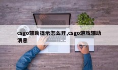 csgo辅助提示怎么开,csgo游戏辅助消息
