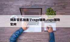 别去官匹祸害了csgo辅助,csgo辅助官网