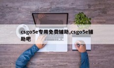 csgo5e专用免费辅助,csgo5e辅助吧