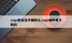 csgo职业选手辅助位,csgo辅助是干嘛的