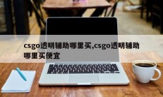 csgo透明辅助哪里买,csgo透明辅助哪里买便宜
