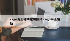 csgo海王辅助陀螺翻译,cago海王辅助