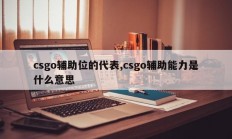 csgo辅助位的代表,csgo辅助能力是什么意思