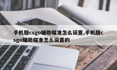 手机版csgo辅助瞄准怎么设置,手机版csgo辅助瞄准怎么设置的