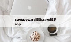 csgoayyware辅助,csgo辅助app