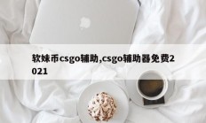 软妹币csgo辅助,csgo辅助器免费2021