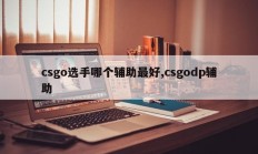 csgo选手哪个辅助最好,csgodp辅助