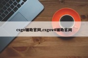 csgo辅助官网,csgov4辅助官网