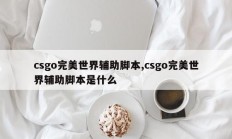 csgo完美世界辅助脚本,csgo完美世界辅助脚本是什么