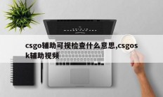 csgo辅助可视检查什么意思,csgosk辅助视频