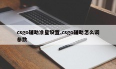 csgo辅助准星设置,csgo辅助怎么调参数