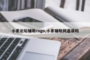 小素论坛辅助csgo,小素辅助网邀请码