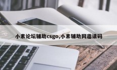 小素论坛辅助csgo,小素辅助网邀请码
