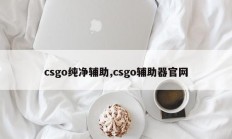 csgo纯净辅助,csgo辅助器官网