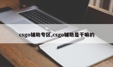 csgo辅助专区,csgo辅助是干嘛的