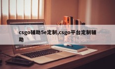 csgo辅助5e定制,csgo平台定制辅助