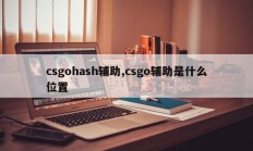 csgohash辅助,csgo辅助是什么位置