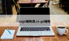 csgo辅助源,cs go辅助