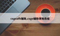 csgoafk辅助,csgo辅助使用教程