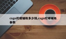 csgo陀螺辅助多少钱,csgo陀螺辅助参数
