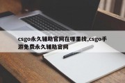 csgo永久辅助官网在哪里找,csgo手游免费永久辅助官网