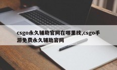 csgo永久辅助官网在哪里找,csgo手游免费永久辅助官网