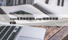 csgo免费换肤辅助,csgo随便换皮肤的服