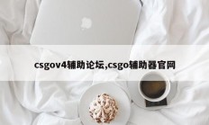 csgov4辅助论坛,csgo辅助器官网