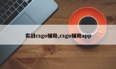 实战csgo辅助,csgo辅助app