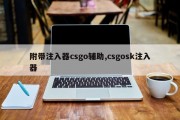 附带注入器csgo辅助,csgosk注入器