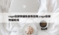 csgo投掷物辅助参数放哪,csgo投掷物辅助线