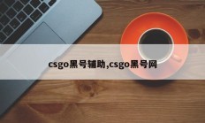 csgo黑号辅助,csgo黑号网